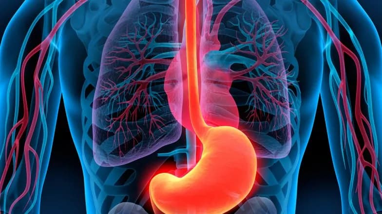 Zapalenie żołądka: poznaj objawy, które nie mogą czekać na wizytę u lekarza