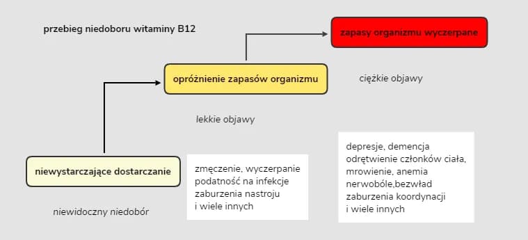 Niedobór wit B12 objawy neurologiczne - nie ignoruj tych sygnałów!