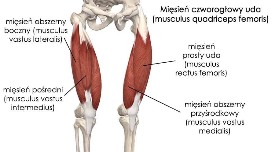 Naciągnięcie mięśnia czworogłowego uda - 7 objawów, które musisz znać