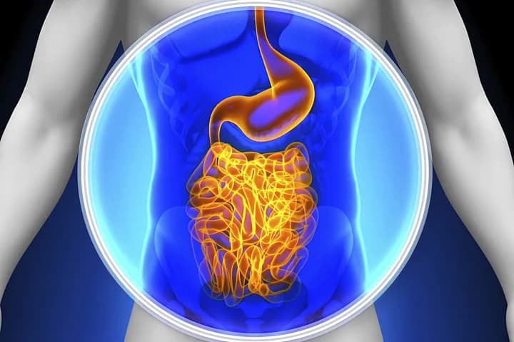 Życie bez jelita cienkiego: wyzwania i możliwości leczenia